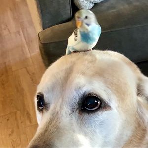 Meet your Posher, Delaney